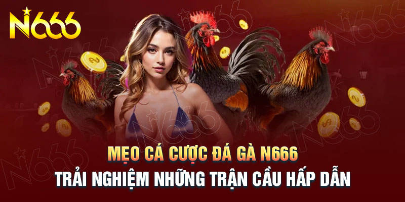 kinh-nghiem-ca-cuoc-da-ga-n666-chuan-nhu-cao-thu