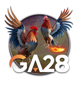 Đá Gà 28