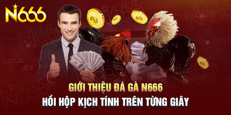 tong-quan-chung-ve-da-ga-n666